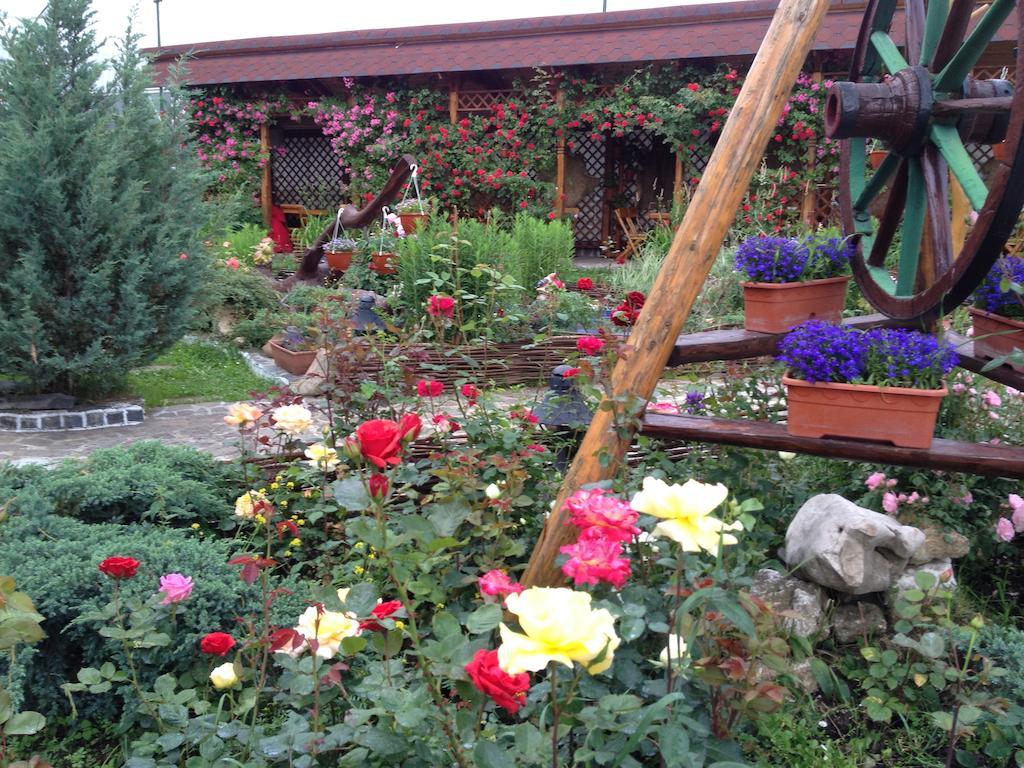 Pensiunea Crocus - Sauna & Billiard Poiana Brasov Ngoại thất bức ảnh